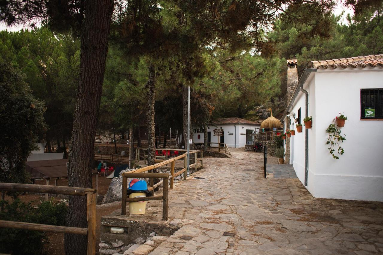 Camping Tajorodillo Грасалема Екстериор снимка