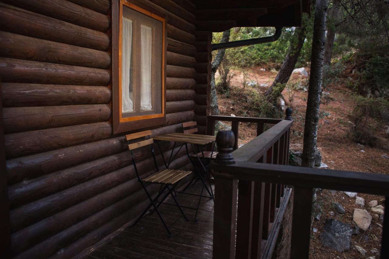 Camping Tajorodillo Грасалема Екстериор снимка